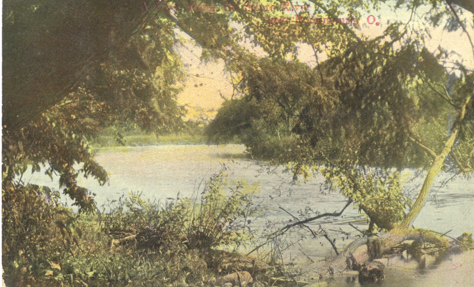 2021-06-08-0005.jpg