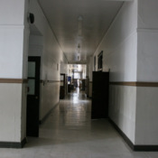 img_8770.jpg