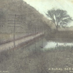2021-06-08-0007.jpg
