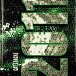 2011 Green High School Yearbook.pdf